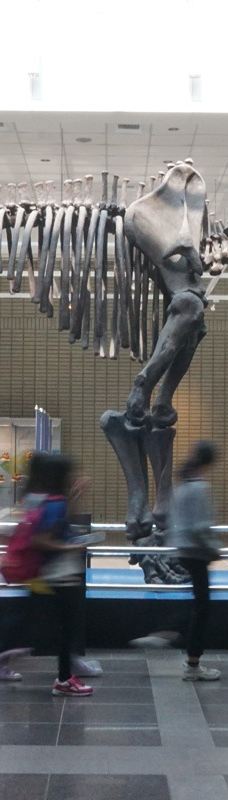 台湾自然科学博物馆-台中