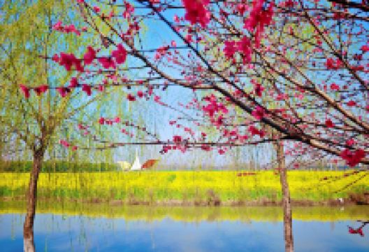 梦里水乡景点图片