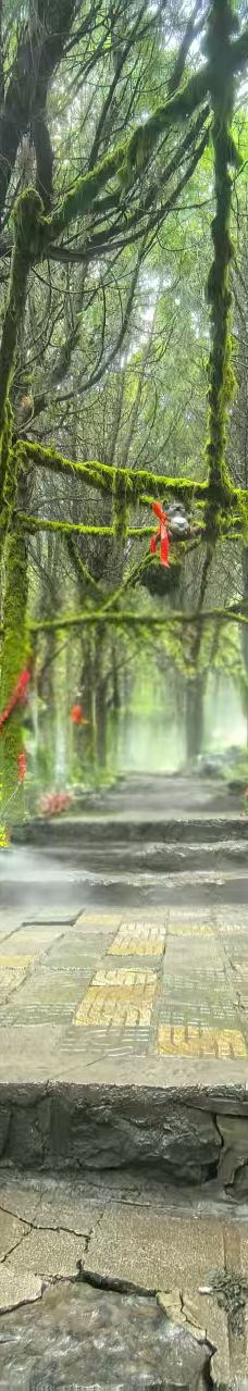 龟山望龙洞风景区-枣庄