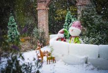 苏州中国花卉植物园景点图片