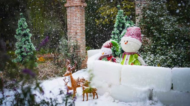 苏州中国花卉植物园