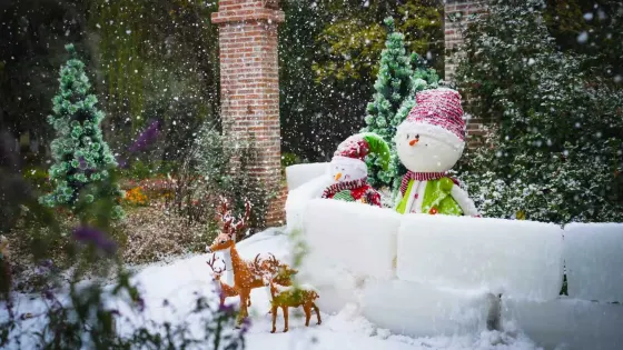 蘇州中國花卉植物園