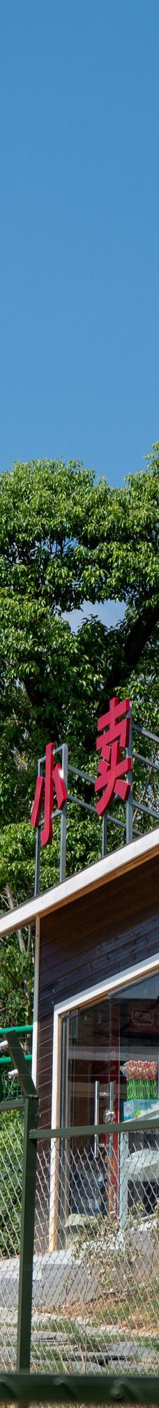 桐城动物园-桐城