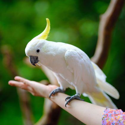 普洱+西双版纳2日自由行