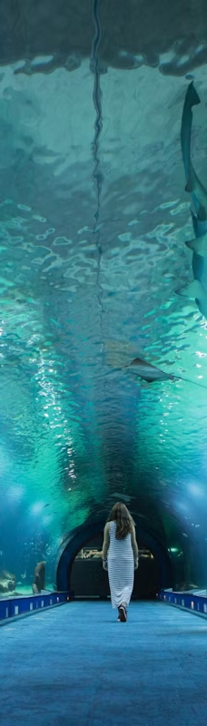 瓦伦西亚海洋公园-瓦伦西亚