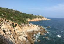 海龟自然保护区景点图片