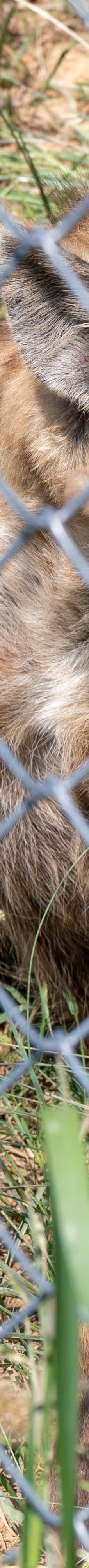 桐城动物园-桐城