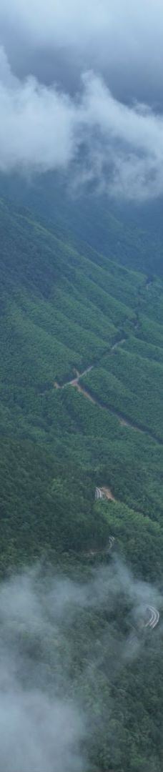 武夷山国家公园1号风景道-武夷山
