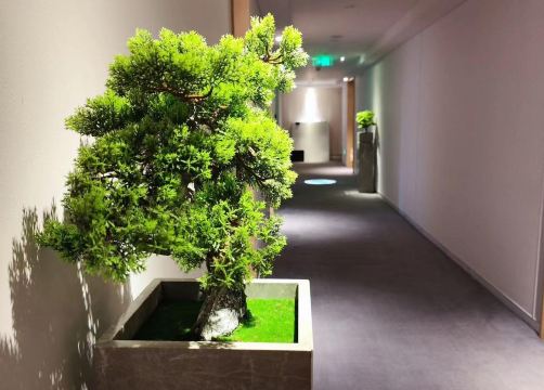 Gallery 3