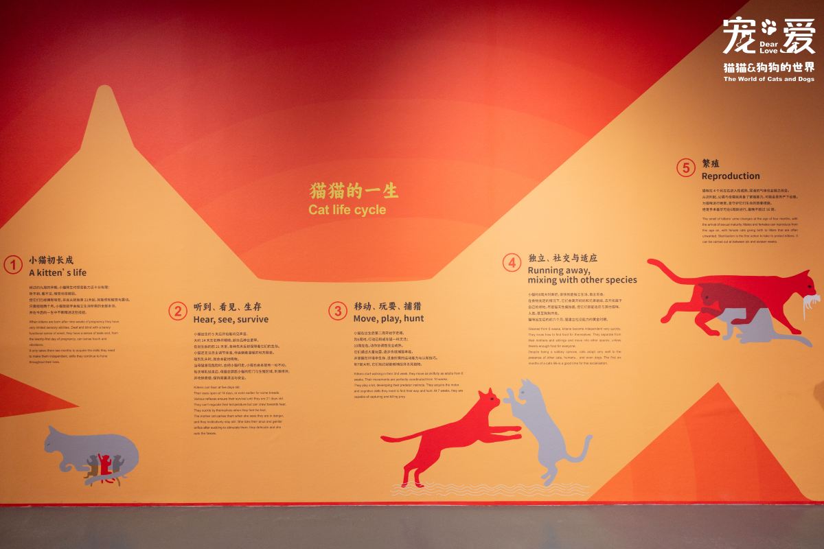 Gallery 3