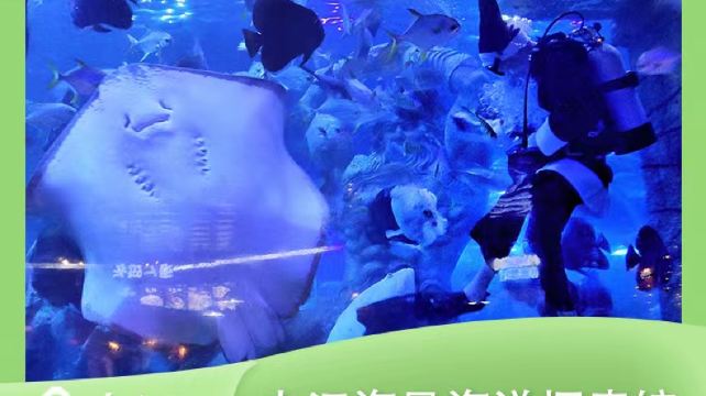 内江海昌海洋探索馆