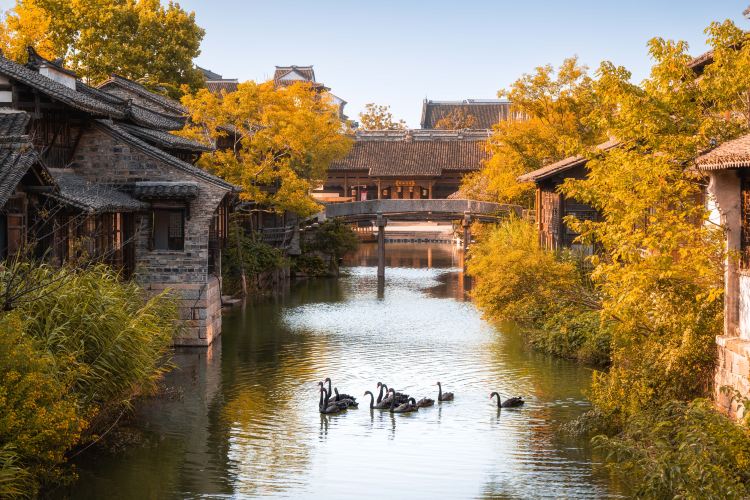 Puyuan Fashion Resort/Woolen Sweater Market (Shopping haven, fashion-forward stays)