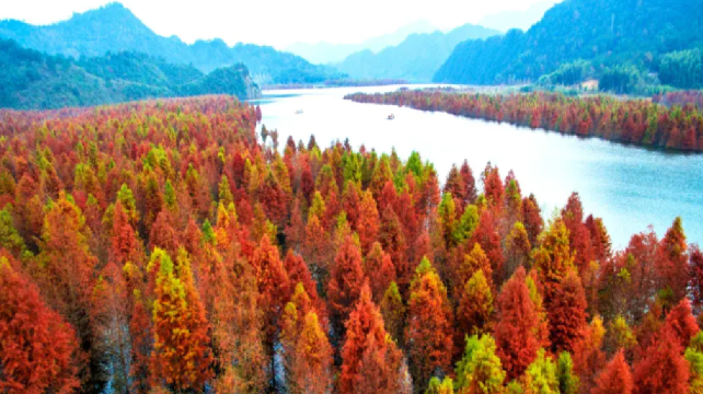 宣城飞行观光体验基地