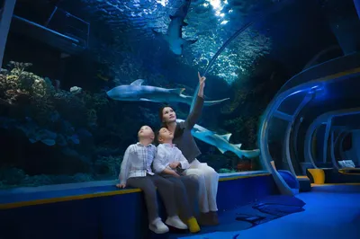 深圳观澜海洋世界