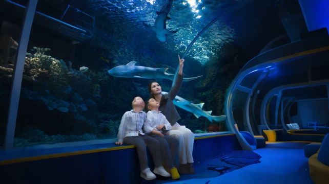 深圳观澜海洋世界