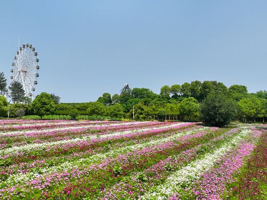 花海乐园