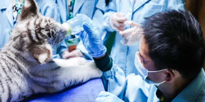 長隆野生動物世界