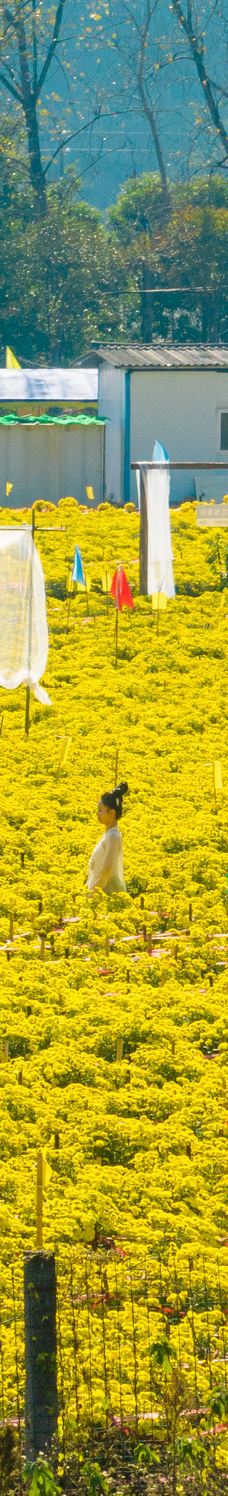 宜春明月山旅游区-宜春