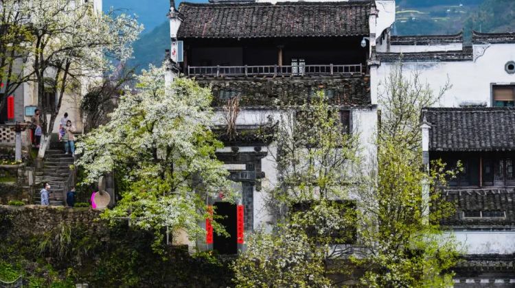 4-Day Huangshan Scenic Area + Hongcun Village + Xidi + Wuyuan Huangling