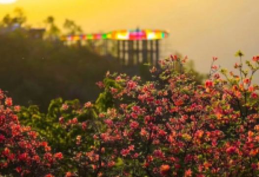 英山县天马寨风景区景点图片