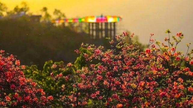 英山县天马寨风景区