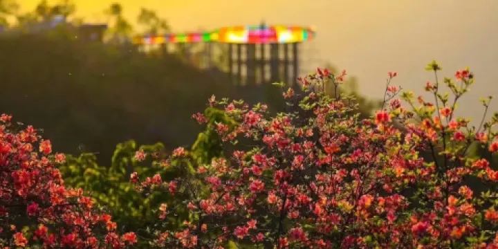 英山縣天馬寨風景區