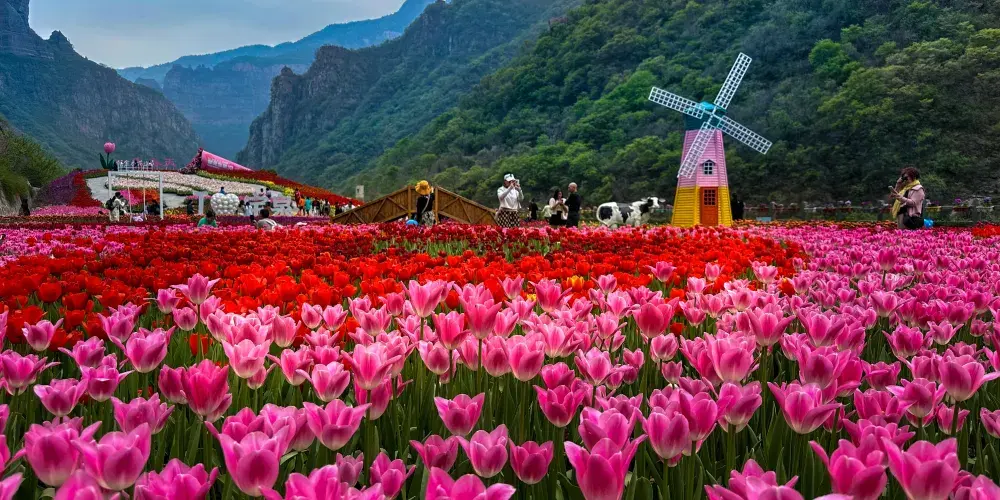 永安旅遊