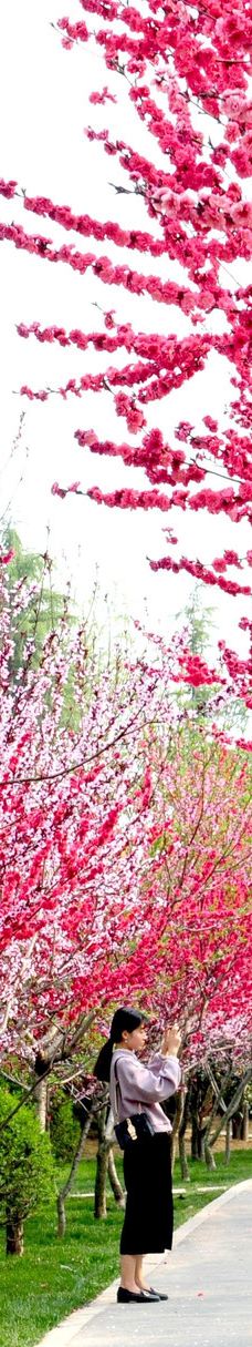 郑州中国绿化博览园-中牟