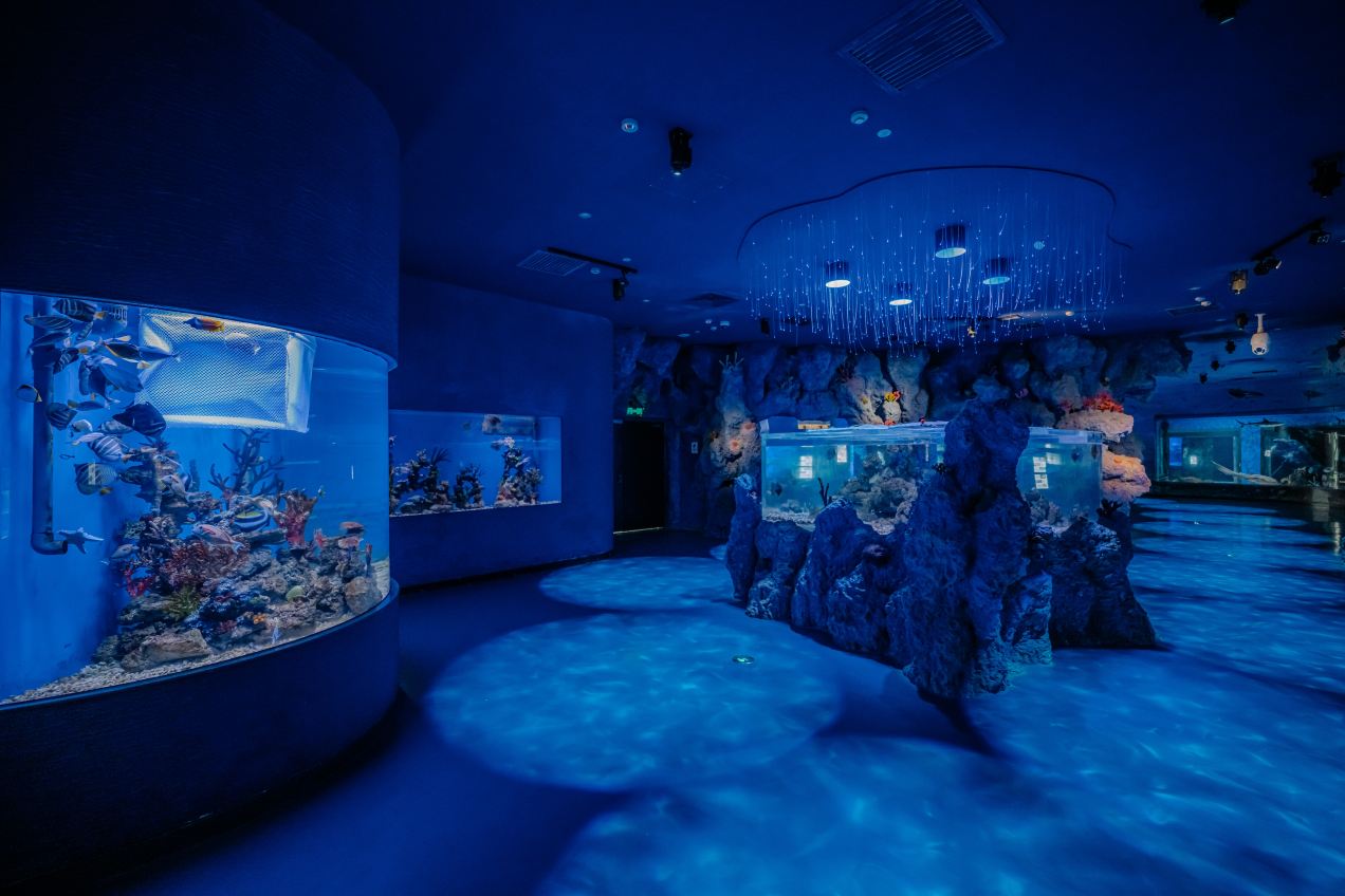 Gallery 1