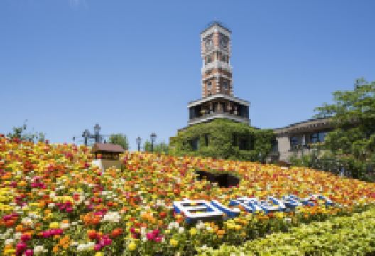 白色恋人公园景点图片