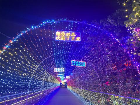 韦依美途