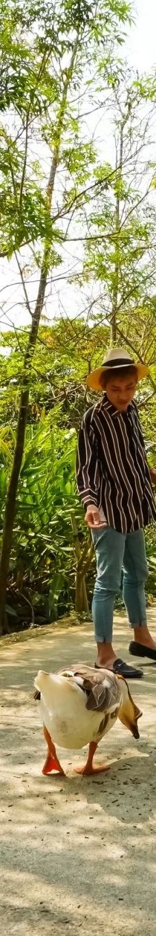 阿信巧克力农场-屏东