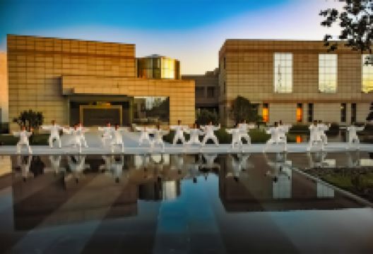 东阿中医药文化旅游区-阿胶世界景点图片