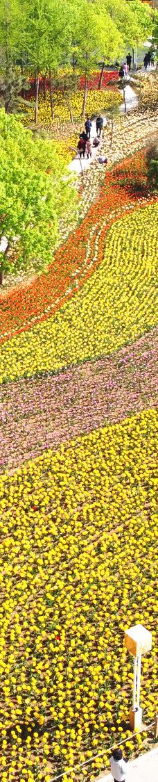 郑州中国绿化博览园-中牟