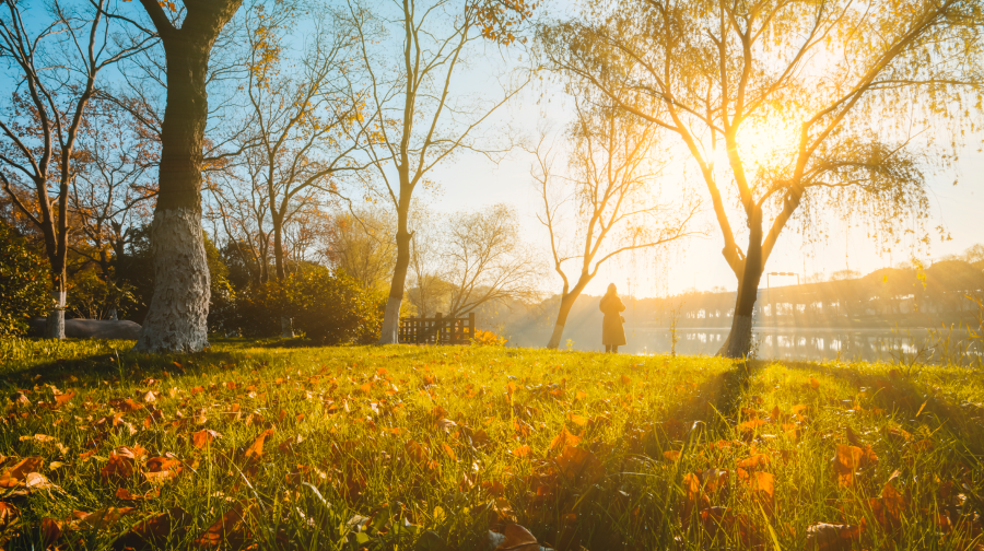 苏州中国花卉植物园