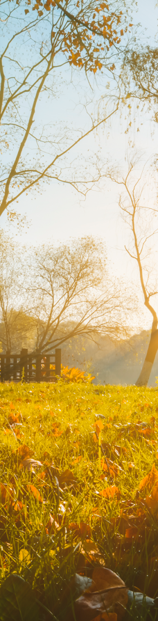 苏州中国花卉植物园-苏州
