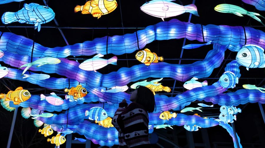 海合安天津极地海洋公园