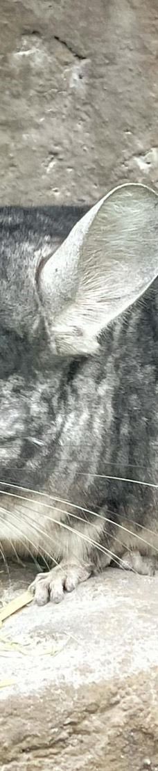 兰阳动植物王国-宜兰