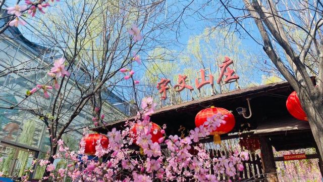 宇文山庄
