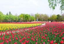 中国绿化博览园景点图片