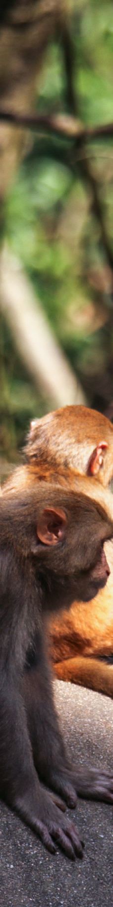 牛姆林生态旅游区-永春