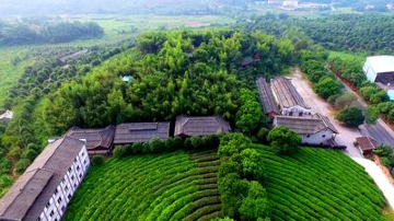 Liu Sanjie Tea Garden Scenic Area