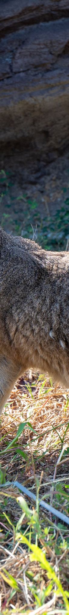 桐城动物园-桐城