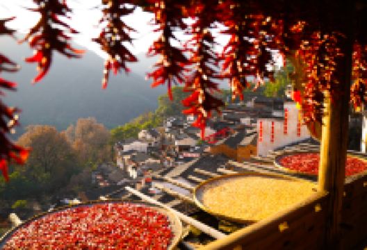 婺源篁岭景区景点图片