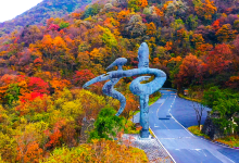 神农顶风景区景点图片