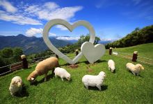 青青草原景点图片