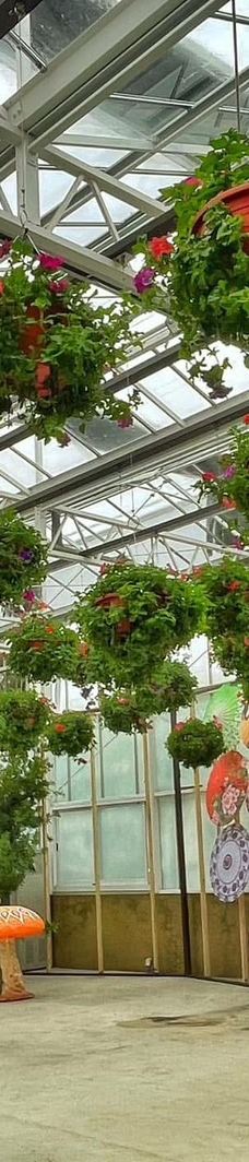 兰阳动植物王国-宜兰