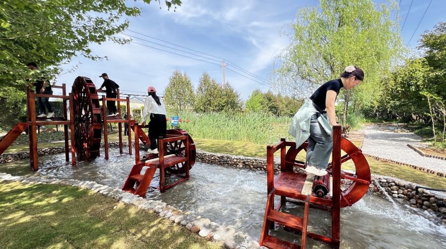 齐鲁童乡