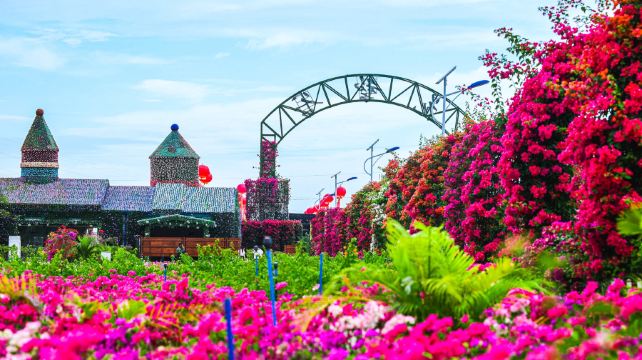 海南花梨谷文化旅游区