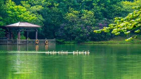 白江湖
